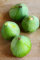 Pianta di Fico Albero di Fico pianta da esterno Albero di fico diverse varietà 2 anni Albero di Fiorone pianta da frutta da mangiare pianta vera in vaso venduta da eGarden.store (Verdino)