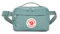 Fjällräven Unisex Kånken Hip Pack Luggage Messenger Bag, Frost Green, Einheitsgröße EU