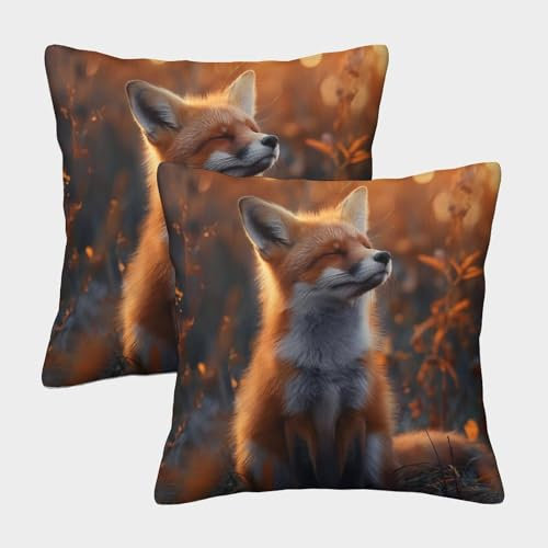 NoveAurora Fuchs dekokissen 2er Set Kissenhülle Zierkissen für Sofa Schlafzimmer Kissenhülle 45x45cm