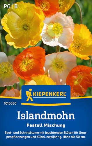 Kiepenkerl Islandmohnsamen Pastell Mischung 1016050 - Zweijährige Blumensamen mit einer Wuchshöhe von 40 bis 50 cm und einem Inhalt für 100 Pflanzen - Saatgut