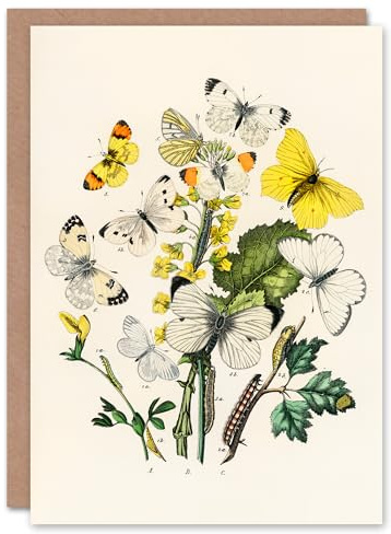 Artery8 William Forsell Kirby Art Card Caterpillars and Butterflies