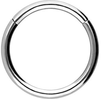 PIERCINGLINE Segmentring Clicker Titan Piercing Nase Septum Ohr Helix Lobe Tragus Silberfarben 0,8 x 9 mm