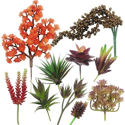 Cayway 10 Stück Künstliche Sukkulenten Mischfarben Unfotted Faux Blume Sukkulenten Künstlich Gemischt für Zuhause Indoor Fairy Garden Dekorationen