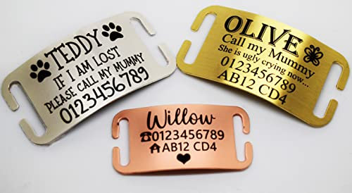 Curved Slide ON Collar Stainless Steel Engraving Rectangle ID Name Disc Personalised Pet Dog Cat Tag Different Font-Rose Gold, Gold, Silver Colours (Small-(MAX 1.6 cm Collar Width), Silver)