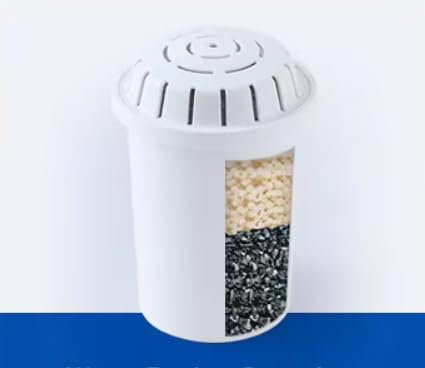 LIFE SPRING F004S Lot de 2 Cartouches Filtrantes au Charbon Actif | Purifier de l'eau | pour fontaines en verre et carafes filtrantes Life Spring