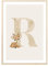 MeinBaby123® Buchstaben Poster DIN A4 Kinderzimmer Mädchen und Junge | Babyzimmer Deko | Bilder Kinderzimmer | Geschenkideen zur Geburt | Anfangsbuchstabe R (süßes Reh)