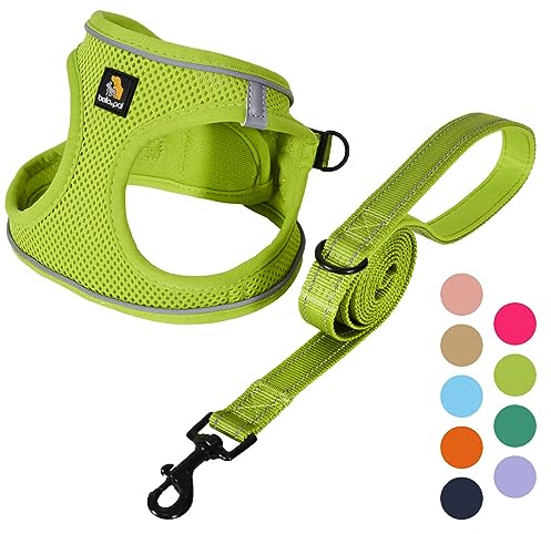 BELLA & PAL Small Dog Harness and Leash Set, Step-in Puppy Harness | Breathable Soft Mesh, Reflective Strips, Secure Buckle, No Pull Vest for Puppies/Extra Small/Small Dogs, Avocado Green, L