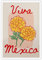 HQPCNGZ Mexikanische Wandkunst, Viva Mexiko, Poster, Blume, Wandkunst, mexikanische Blume, Chrysantheme, Wanddekoration, flippige Kunst, Geschenke, dekorativ, modern, minimalistisch, ästhetisch, 30,5