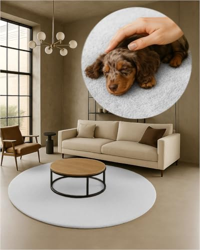 TEXMAXX Weicher Kurzflor Teppich Wohnzimmer mit rutschhemmender Rückseite (180 x 180 cm Rund) - Modern für Flur, Esszimmer und als Schlafzimmer Teppich in Weiß - Waschbar bis 30 Grad
