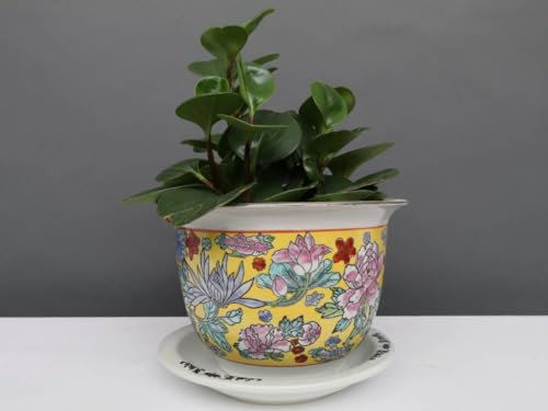 Yajutang China Porzellan Blumentopf Gelb mit bunten Blumen Ø 29cm …