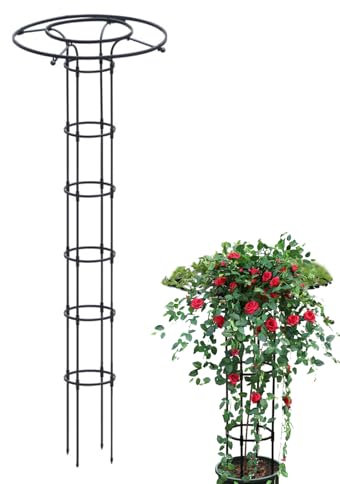 Ranksäule Für Kletterpflanzen, Rosen Rankhilfe Schirm, Pflanzenstütze Metall, Ranksäule Witterungsbeständig Freistehend F. Kletterpflanzen U. Rosen, Für Topfpflanzen, Gurken, Clematis, Rose