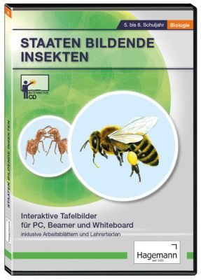 Staaten bildende Insekten - Interaktive Tafelbilder auf CD-ROM für PC, Beamer und Whiteboard - Hagemann 19106 - Einzel- und Schullizenz