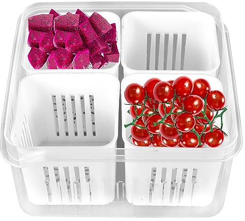 4 Grid Divided Vegetable Fruit Container with Lid, Portable Multi Compartment Appetizer Tray, Reusable Food Storage Box Vegetable Spice Case for Refrigerator