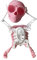 Tanzendes, schwingendes 3D-, schwingendes, knifflig, lustig, DREI College-Studenten, seltsames (Nicht zusammengebaut) 123tgdzx (Pink, One Size)