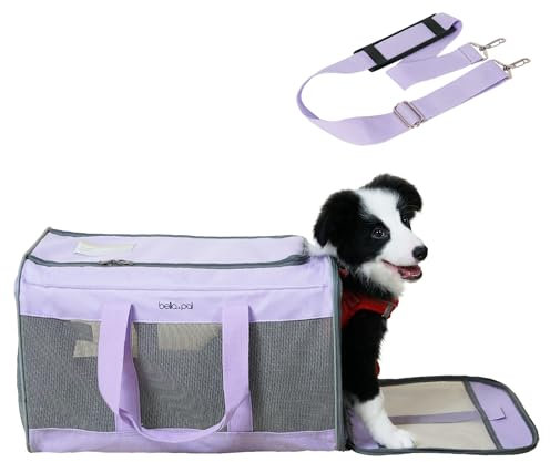 BELLA & PAL Katzentransportbox für große Katzen und Welpen–Leichte faltabre Transporttasche Katze- Ausbruchsichere, Wasserdicht & Kratzfestem Netz, 50x31x31cm bis 10kg für Tierarzt/Auto/Flugzeug