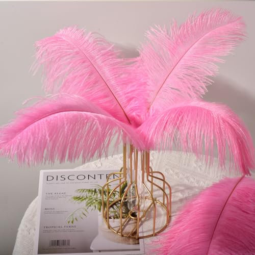 30 pièces de plumes d'autruche, Plumes Grand Pour la maison Décoration de mariage, Bricolage, Plumes d'autruche Vase (Rose)