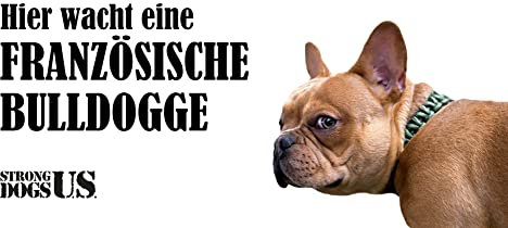 Strong Dogs US. /Hundeschild Warnschild Achtung Hier wache ich/Hinweisschild Gartentor Gartenzaun - Türschild Haustüre Warnschild/Abschreckung Einbruchschutz (Französische Bulldogge)