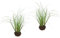 Künstliches Gras im Reisig Nest Grasbusch Gräser Kunstgras Kunstpflanze Ziergras Grünpflanzen Dekogras Grasbüschel Ziergras Solitärgras Deko Grasarrangement Dekopflanze Pflanzendeko Pflanze, 25 cm