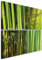 B&D XXL - Wandbilder Set Bambus 80x80 cm 4 Teilig je 40x40 Vlies Leinwandbild Kunstdruck modern Wandbilder XXL Wanddekoration Design Wand Bild mehrteilig - Natur grün 030210-82