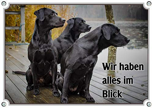 Hundeschild - 3 Schwarze Labrador Retriever - Warnschild in Fotoqualität, DIN A5