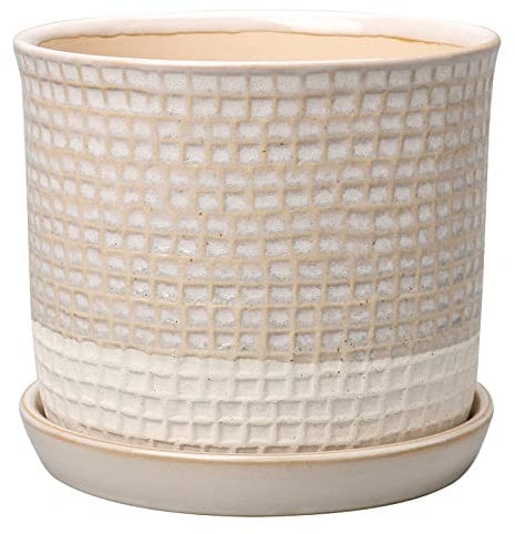 Oairse Plant Pots Indoor 14cm/5.7 inch Ceramic Flower Pots Small Garden Planters with Saucers Tray and Drainage Holes, White Succulent Plant Pot Cactus Plant Pot pour Indoor Plant Mini Herb