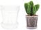 AONYIYI Vaso per orchidee, trasparente, 5 pezzi, 15,24 cm, con fori e piattini, orchidee, per interni ed esterni, balcone, scrivania