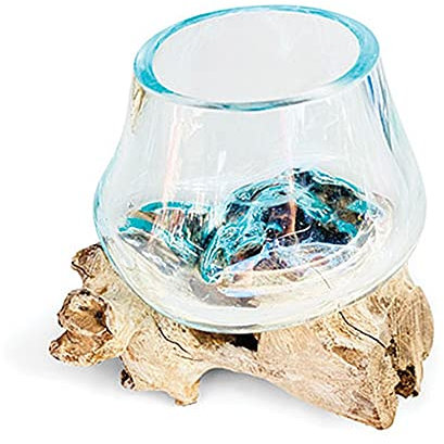 Beau vase en verre de 11 cm de diamètre finement soufflé sur une racine de teck – Idéal pour les fleurs ou un terrarium d'intérieur – chacun unique