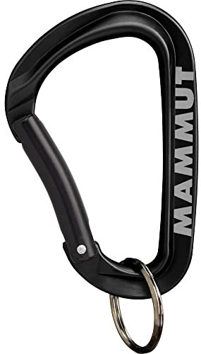 Mammut Mini Carabiner Workhorse Keylock L assorted keylock