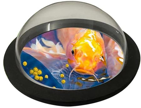 Fischkuppel – Kuppel-Aquarium-Schwimmring | Fischfütterungskuppelring, schwimmender Pflanzenring für Aquarien, Futterring für Corral-Aquarien, Teichring für Wasserpflanzen, Fischfütterungsring für