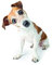 homeBLOCKrocks Jack Russel Kühlschrankmagnet “Jack I” - Magneten für Dog Lovers aus PLEXIGLAS® 9 x 9 cm