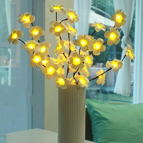 LED-Zweiglicht Batteriebetrieben Künstlich Beleuchtete Zweige mit 40 Warmweißen LED-Lichtern, 2 Stück Beleuchtete Zweige für Vasen, Feiertage Weihnachtsfeiern Kamin, Heimtischdekoration (Plumeria)
