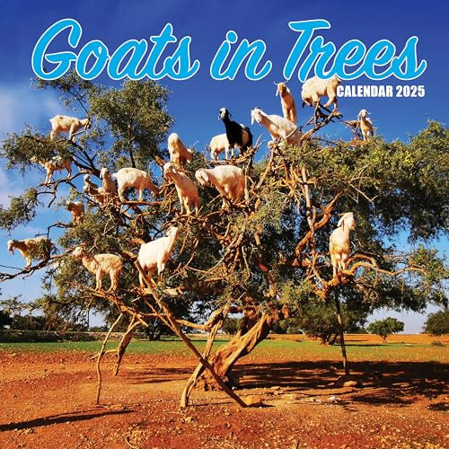Goats in Trees 2025 Calendar