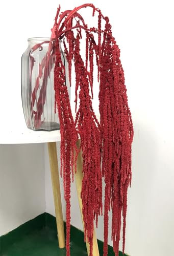 Vid de glicina de amaranto preservada seca para decoración de boda, ramo floral colgante para pared del hogar o centro de mesa