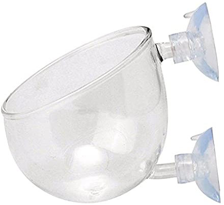 Aquarium Graines Eau Herbe Pots Réservoir Décoration Paysage Ornement Facile Aquatique Vivre Plante Poisson De Haute Qualité Pratique et PopulaireIntelligent et Attrayant.