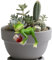 ClcIosis Frosch Deko Gartendeko, Lustige Blumentöpfe Deko Frosch Figuren, Für Pflanzgefäß Blumentopf Hänger Ornament Teiche Terrasse