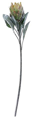 Kunstblume Protea Barbighera biegsamer Stiel mit Drahtkern grün, 72 cm