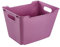 keeeper Lotta Cajas de Estilo De Vida, Polipropileno, Frambuesa, 20 l