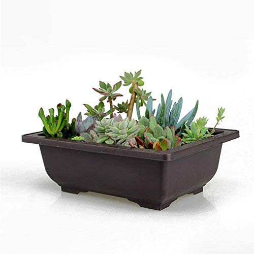 Pots de fleurs, Pot Bonsai formation bassin Pot de fleurs Bol Nursery plastique carré noir rectangulaire Récipient pour Succulent Plante (26x19x8.5cm)