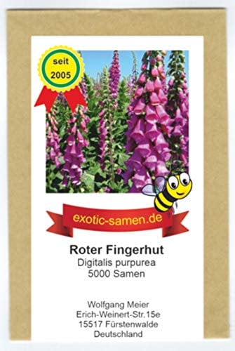 Roter Fingerhut - Digitalis purpurea - Wichtige Hummelnahrung - 5000 Samen