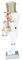 KOMBIUDA 1pezzi Schiaccianoci Bianco Decorativo Legno Per Natale Puppets e Statuetta Per Decorazioni Festive Adatto Casa Ufficio e Regali Di Festa