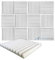 Arrowzoom 12 Panels Acustico Absorción Sonido Wedge Cuña 50x50x5cm Espuma Acústica Aislamiento Acustico Estudio de Grabación Casas Estudios Azulejos Incombustibles Insonorizados AZ1134 PERLA BLANCA