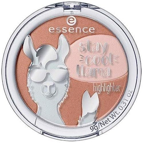 Essence, Highlighter - 100 g.