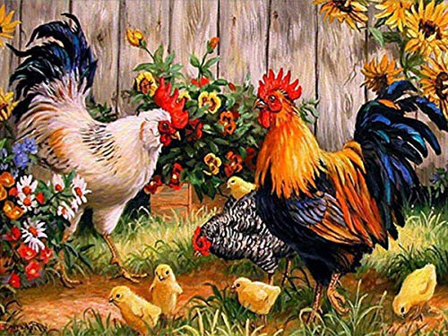 Zariocy Peinture par Numeros Adultes Jardins Animaux Poule Coq Poussins, Toile Peinture Acrylique par Numéro pour Enfants étudiants débutants Avec Pinceaux et Pigments, la Décoration Murale 40x50cm