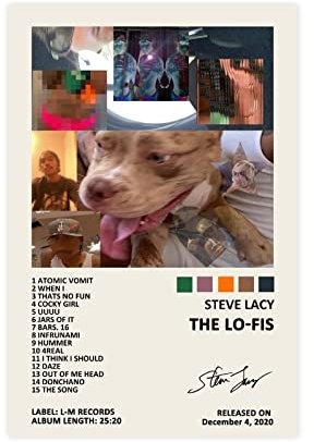 YEZLH Steve Poster Lacy The Lo Fis Musikalbum Cover signiert limitierte Auflage Leinwandposter Schlafzimmer Dekor Sport Landschaft Büro Zimmer Dekor Geschenk Rahmen: 30 x 45 cm