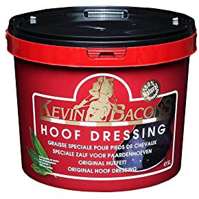 Huffett Pferd schwarz Kevin Bacon's