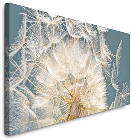 Paul Sinus Art GmbH Pusteblume Nahaufnahme 120x 50cm Panorama Leinwand Bild XXL Format Wandbilder Wohnzimmer Wohnung Deko Kunstdrucke