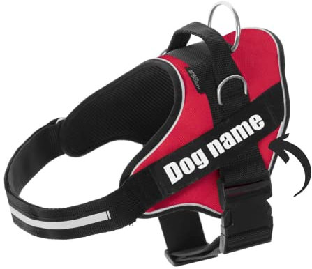 SUPER DOGGY Personalisiertes Hundegeschirr - Reflektierendes und sicheres Hundegeschirr - Enthält 2 Namensschilder, Klein, Mittel und Groß - Qualität und Beständigkeit (Rojo, S 6-14KG)