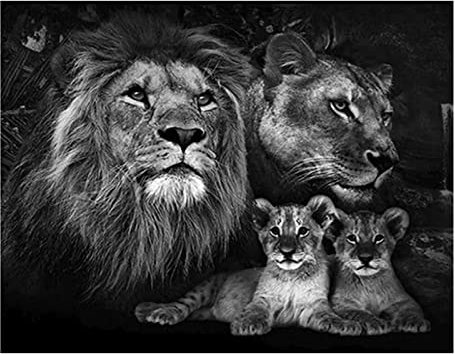 SHEGZHUC Diamond Painting Löwe und Löwin 40x50cm Diamond Painting König der Löwen Malen nach Zahlen Erwachsene Tiere Diamant Painting Löwe Baby Perlenbilder Diamond Painting Löwe Schwarz Weiß Kinder