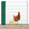 Kerbl AKO PoultryNet Premium Geflügelnetz - 50m Hühnerzaun, 122cm hoch, mit 15 fiberglas-verstärkten Pfählen, Doppelspitze, robust & UV-beständig, grün, ohne Strom