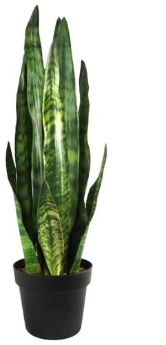 Botanik Artificial Office Plants